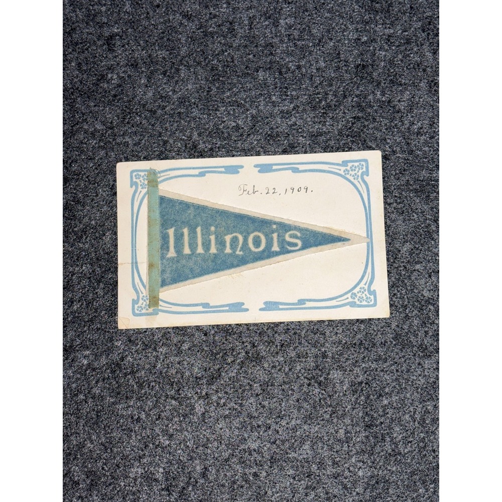 Vintage Flocked Postcard ILLINOIS Pennant Souvenir Banner USA 1909